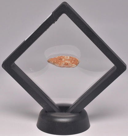 Lunar Meteorite- Rare (3cm)