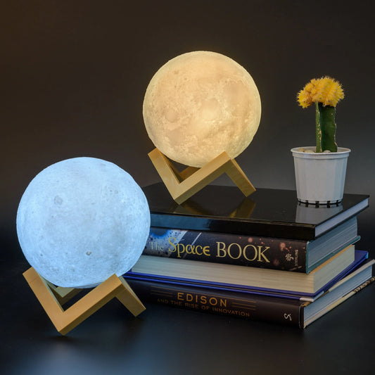 Two moon-shaped lamps on books with a small potted plant in the background