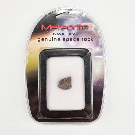 NWA 869 Meteorite (Sahara Desert- 2000)