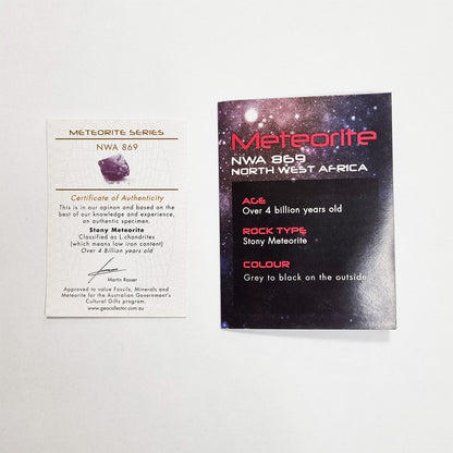 NWA 869 Meteorite (Sahara Desert- 2000)
