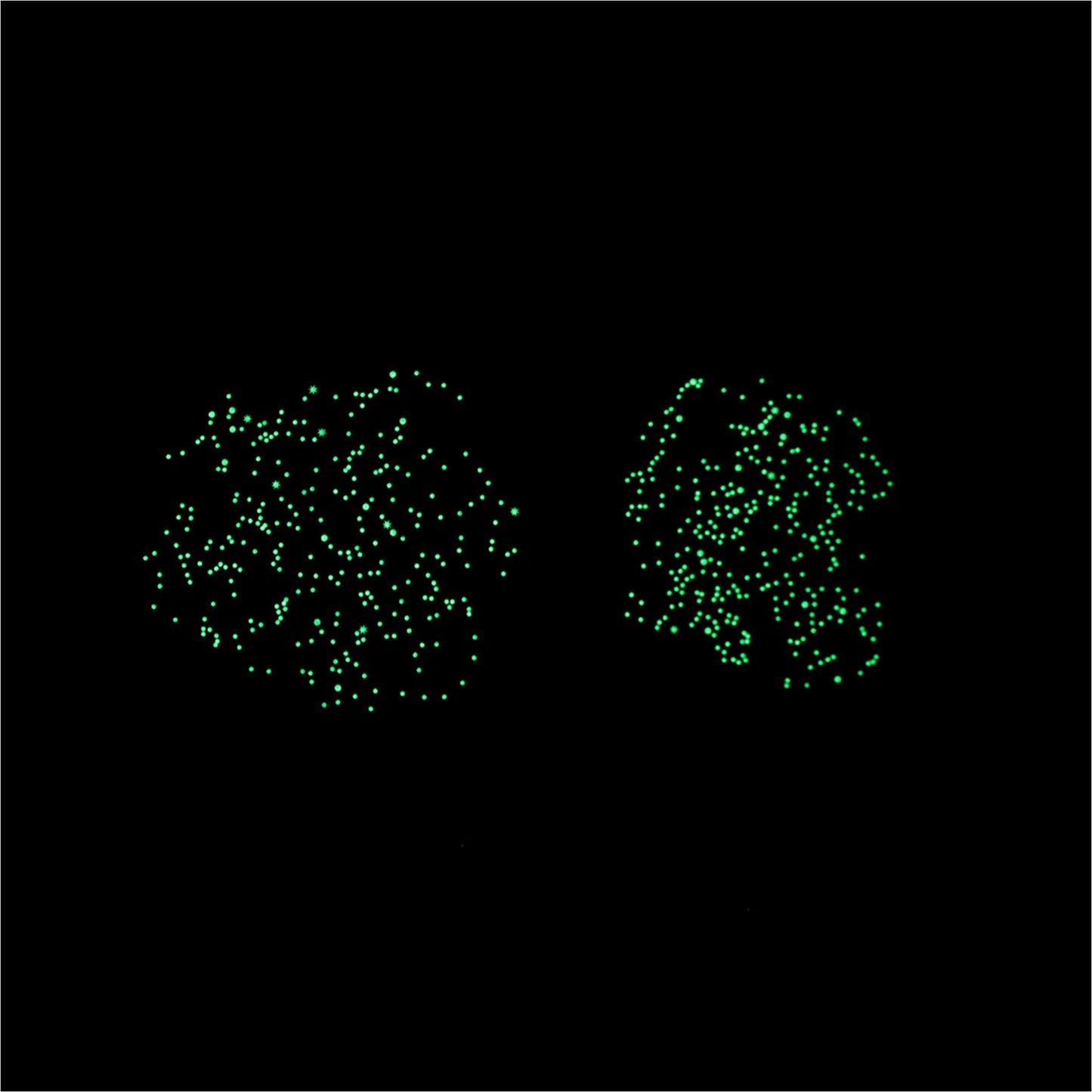 Skymap Poster With 640 Glow In The Dark Stickers