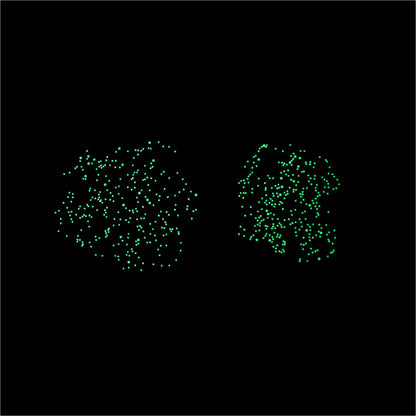 Skymap Poster With 640 Glow In The Dark Stickers