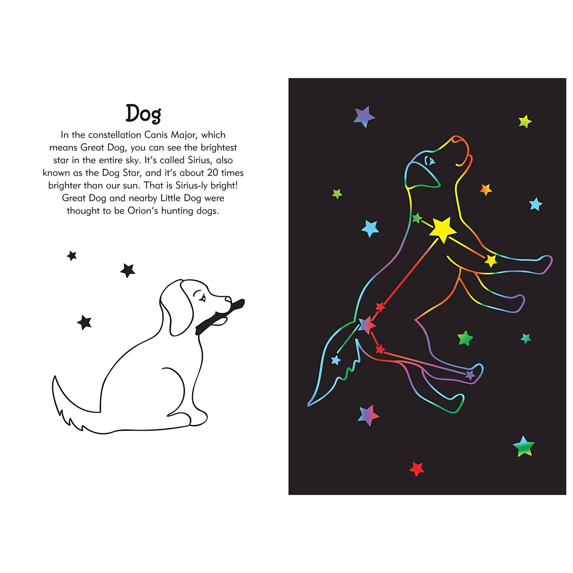 Illustration of a dog constellation with text on a black background