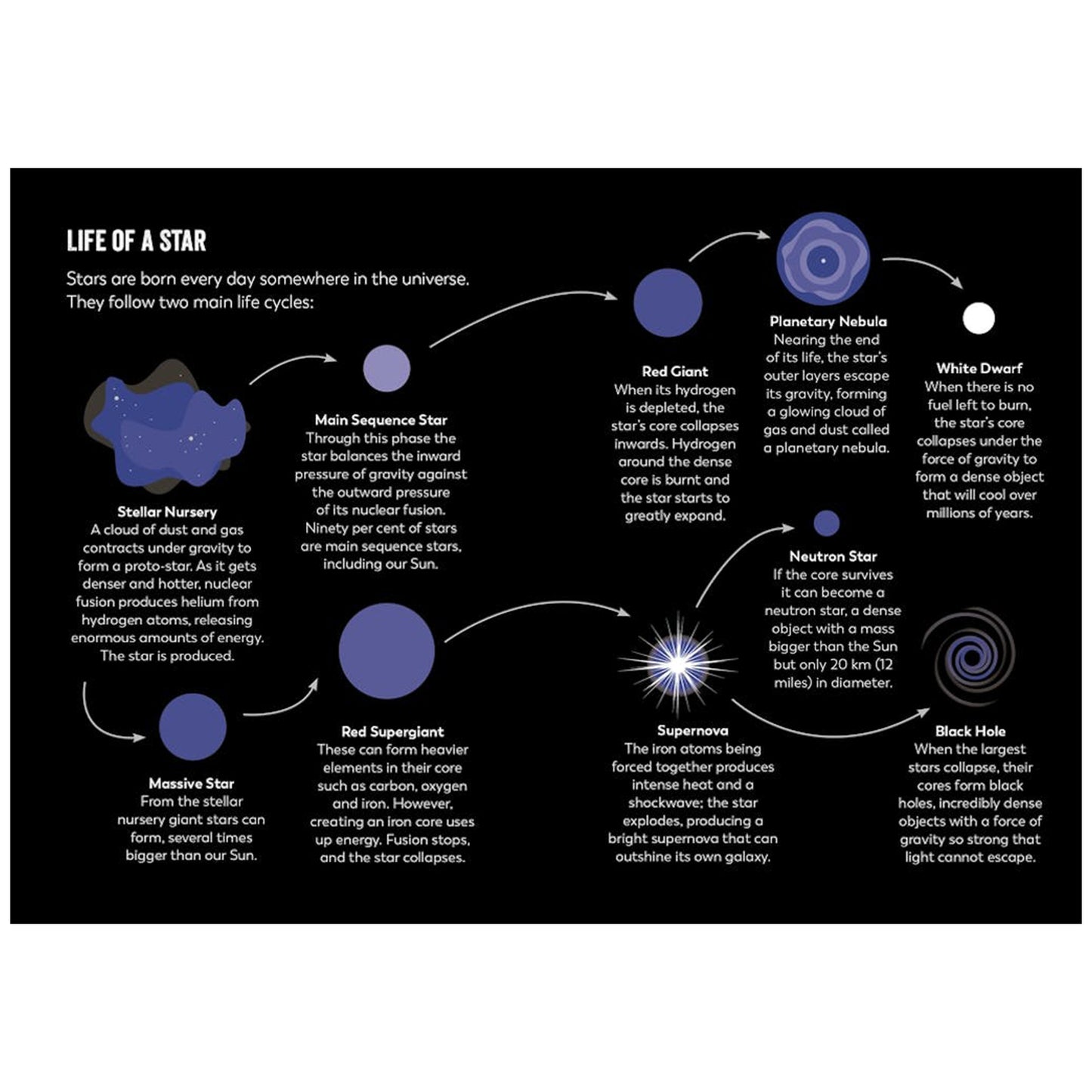 Diagram of the life cycle of a star with various stages labeled.