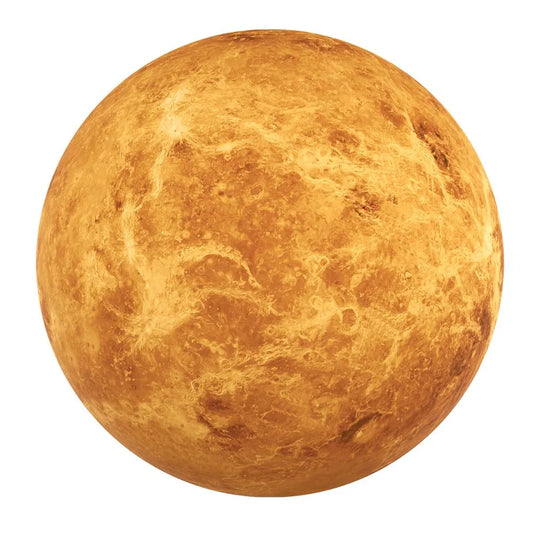 9cm Round Venus Coaster