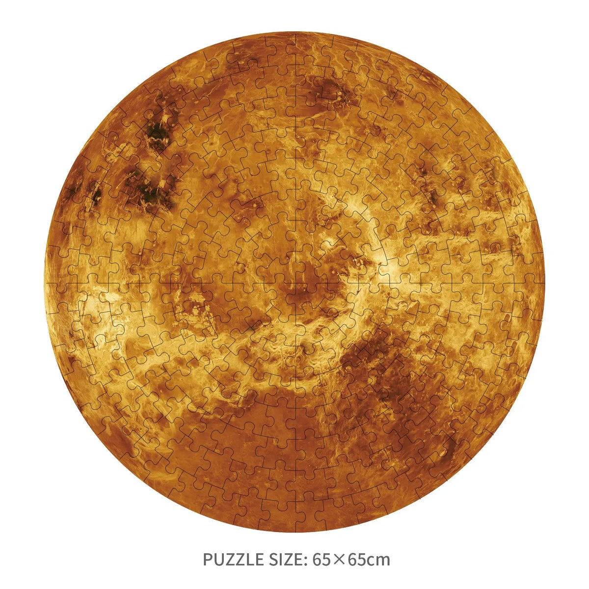 Venus Jigsaw Puzzle (200 Piece)
